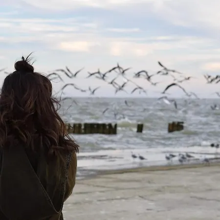 White Pearl 0.11 * Timmendorfer Strand