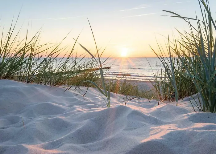 Apartment White Pearl 0.11